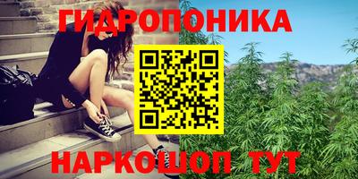 марки lsd Тара
